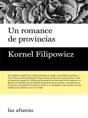 cover image of Un romance de provincias